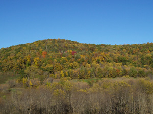 Autumn in our valley