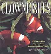 Clown Fish Clownfish for Sale.  Clownfish Information, Breeding, Pictures and Facts.  Find Live Aquarium Clown Fish and more here.