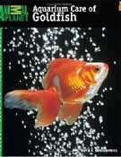 Breeding and How to Feed and take Care of your Goldfish.
