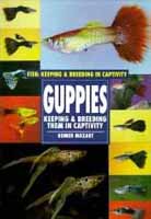 Guppy, Guppies for Sale.  Guppy Breeding, Care, Show, and Information.  Fancy Live Guppies for sale.  Guppy Aquariums, Tanks and Supplies.