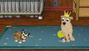 Petz: Dogz 5 and Catz 5, dogz and catz live on your 
computer. You raise them from little puppyz and kittenz as they grow, play together. Cyber pets. 
Downloads.  Virtual Pets.