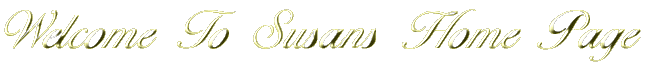 Welcome to Susans resume and home page
