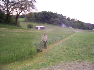 Mowing is a tough job with our big lawn